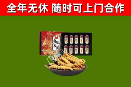 永福回收冬虫夏草价格